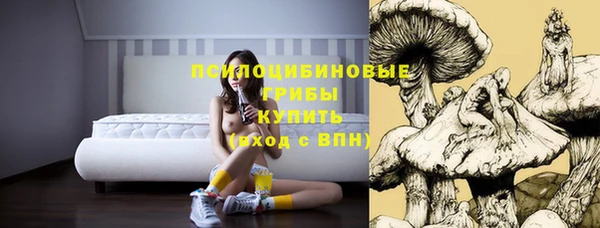 соль ск Балабаново