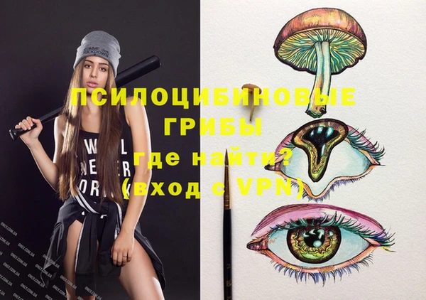 марки lsd Новозыбков